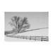 Trademark Fine Art 'Along the Lane II' Photographic Print on Wrapped Canvas in White | 30 H x 47 W x 2 D in | Wayfair WAP04276-C3047GG