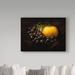 Trademark Fine Art 'Nature Morte Fruit' Photographic Print on Wrapped Canvas Metal in Orange | 24 H x 32 W x 2 D in | Wayfair 1X05410-C2432GG