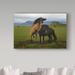 Trademark Fine Art 'Two Wild Horses' Photographic Print on Wrapped Canvas in White | 30 H x 47 W x 2 D in | Wayfair 1X05162-C3047GG