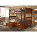 Dubbo Twin Over Twin 2 Drawer Solid Wood Standard Bunk Bed by Harriet Bee kids Wood in Brown/Green/Red | 61.5 H x 42 W x 80 D in | Wayfair