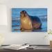 East Urban Home Northern Elephant Seal Female Laying on Beach, California Photographic b Tim Fitzharris - Wrapped Canvas Print | Wayfair