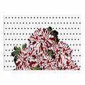 Kess eigene Tobe Fonseca Spring Muster Floral Rot Schwarz Rot Mixed Media Hund Tischset, 61 x 38,1 cm