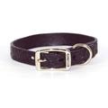 Hamilton Leder Hundehalsband 2,5 x 50,8 cm Floral Daisy Leder Halsband – Schwarz