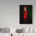 Trademark Fine Art 'Red Shawl Portrait' Photographic Print on Wrapped Canvas in Black/Green/Red | 19 H x 12 W x 2 D in | Wayfair 1X07274-C1219GG