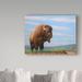 Trademark Fine Art 'American Bison' Graphic Art Print on Wrapped Canvas in Blue/Brown | 14 H x 19 W x 2 D in | Wayfair ALI36288-C1419GG