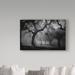 Trademark Fine Art 'Enchanted Forest Trees' Photographic Print on Wrapped Canvas Metal in Black/Green/White | 22 H x 32 W x 2 D in | Wayfair