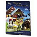 JR Farm Hunde Adventskalender, 1er Pack (1 x 140 g), Getreidefrei