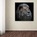 World Menagerie 'Proud Lion' Photographic Print on Wrapped Canvas in White | 14 H x 14 W x 2 D in | Wayfair B4D588284C1D491CA86445FB4F0D0D34