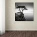 World Menagerie 'The Lone Cypress' Photographic Print on Wrapped Canvas in Black/White | 14 H x 14 W x 2 D in | Wayfair