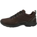 Ecco Men's Biom Fjuel M Sneaker,Brown,5.5-6 UK