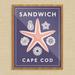 Highland Dunes 'Sandwich Cape Cod Starfish' Graphic Art Print Paper in Indigo | 14 H x 11 W x 0.15 D in | Wayfair 7D13D0385EBD4399A64556A7BE334CFD