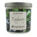 Star Hollow Candle Company Bayberry Scented Jar Candle Soy, Glass in Green | 3.5 H x 3.5 W x 3.5 D in | Wayfair SSLJBAY