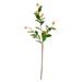 Vickerman 521786 - 25" Green Scimmia Leaf/Flower Spray 6/Pk (FK181401) Home Office Picks and Sprays