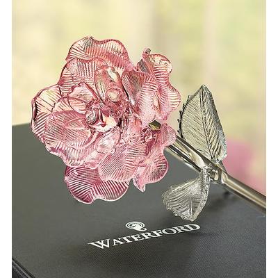 1-800-Flowers Flower Delivery Waterford Pink Glass Rose | Happiness Delivered To Their Door