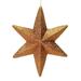 Vickerman 549186 - 20" Copper Glitter Bethlehem Star Christmas Tree Ornament (L180228)