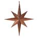 Vickerman 513842 - 15.75" Copper Glitter Bethlehem Star Christmas Tree Ornament (M167588)