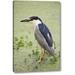 World Menagerie 'Sc, Charleston Black-Crowned Night Heron' Photographic Print on Wrapped Canvas in Gray/Green | 16 H x 10 W x 1.5 D in | Wayfair