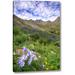 Millwood Pines 'Colorado, San Juan Mts, Flowers' Photographic Print on Wrapped Canvas in Blue/Green | 16 H x 10 W x 1.5 D in | Wayfair