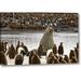 World Menagerie South Georgia Isl, Elephant Seal & King Penguin by Don Paulson - Photograph Print on Canvas in Brown/Gray | Wayfair