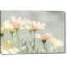 Ebern Designs Mexico Blooming Desert Flowers by Don Paulson - Graphic Art Print on Canvas in Gray | 16 H x 24 W x 1.5 D in | Wayfair