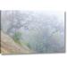 World Menagerie 'California, Henry W Coe SP Morning Fog' Photographic Print on Wrapped Canvas in Brown/Green | 10 H x 16 W x 1.5 D in | Wayfair