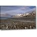 Millwood Pines South Georgia Island, King Penguin Colony by Don Paulson - Photograph Print on Canvas Metal in Blue/Brown | 21 H x 32 W in | Wayfair