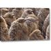 World Menagerie South Georgia Island King Penguin Chicks by Don Paulson - Wrapped Canvas Photograph Print Canvas in Brown | Wayfair