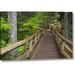 Millwood Pines Or, Willamette Nf Wooden Foot Bridge by Don Paulson - Photograph Print on Canvas Metal in Brown/Green | Wayfair