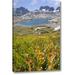 Millwood Pines Ca, Inyo Nf Field of Flowers & Nydiver Lake by Don Paulson - Photograph Print on Canvas in Gray/Green | Wayfair