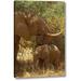 World Menagerie 'Kenya, Samburu Np African Elephant w/ Her Baby' Photographic Print on Wrapped Canvas in Brown/Green | Wayfair