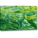 Ebern Designs Ak, Glacier Bay Abstract of Water by Don Paulson - Wrapped Canvas Graphic Art Print Canvas in Green | 11 H x 16 W x 1.5 D in | Wayfair