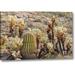 Union Rustic 'Use, Arizona, Tucson Desert Scenic' Photographic Print on Wrapped Canvas in Green | 16 H x 24 W x 1.5 D in | Wayfair