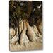 World Menagerie 'Ca, White Mts, the Patriarch Bristlecone Pine' Photographic Print on Wrapped Canvas in Gray/Green | 32 H x 21 W x 1.5 D in | Wayfair