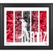 David Ortiz Boston Red Sox Framed 15'' x 17'' Player Panel Collage