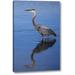 Highland Dunes 'California, San Diego, Lakeside Great Blue Heron' Photographic Print on Wrapped Canvas in Blue/Gray | 24 H x 16 W x 1.5 D in | Wayfair