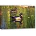 Millwood Pines 'USA, California, San Diego, Lakeside Wood Ducks' Photographic Print on Wrapped Canvas Metal in Green | Wayfair