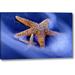 Highland Dunes 'SC, Hilton Head Island Two Starfish on Beach' Graphic Art Print on Wrapped Canvas in Blue/Yellow | 21 H x 32 W x 1.5 D in | Wayfair