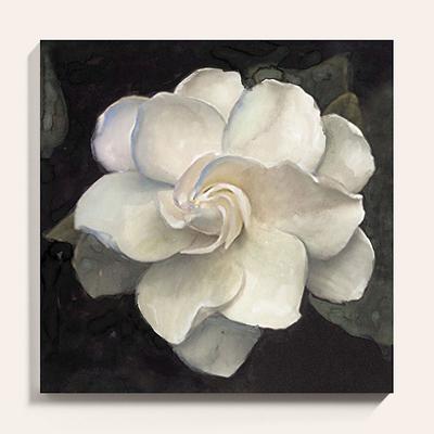 Midnight in the Garden Stretched Canvas - 24