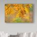 Winston Porter 'Autumn Oak Leaves' Photographic Print on Wrapped Canvas in Green/Yellow | 12 H x 19 W x 2 D in | Wayfair