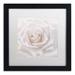 House of Hampton® Soft White Rose by Cora Niele - Picture Frame Photographic Print on Canvas Canvas, Wood | 14.5 H x 14.25 W x 0.75 D in | Wayfair