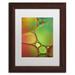 Ebern Designs 'Stained Glass II' Framed Photographic Print on Canvas Canvas | 14 H x 11 W x 1.25 D in | Wayfair 2E031146E73B4FF0AFD601B31DF4CCF4