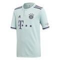 adidas FC Bayern Away Boys' Football Jersey, Girls, Football Jersey, CF5396, Ash Green/Trace Purple/White, L