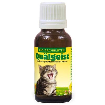 Bachblüten Quälgeist flüssig f.Katzen 20 ml Flüssigkeit Image