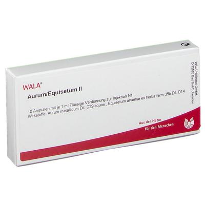 Aurum/Equisetum II Ampullen 10x1 ml Image