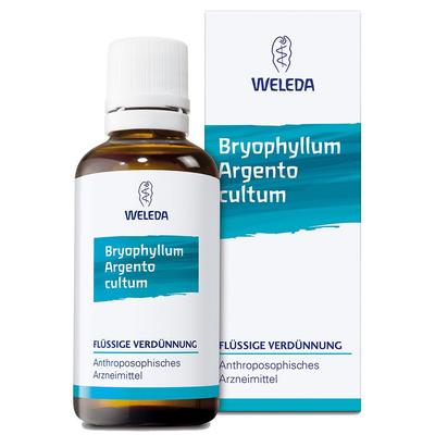 Bryophyllum Argento cultum D 3 Dilution 50 ml Image