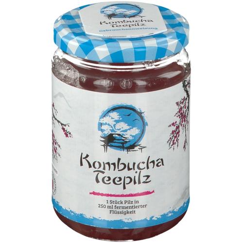 Kombucha Teepilz 1 St Tee