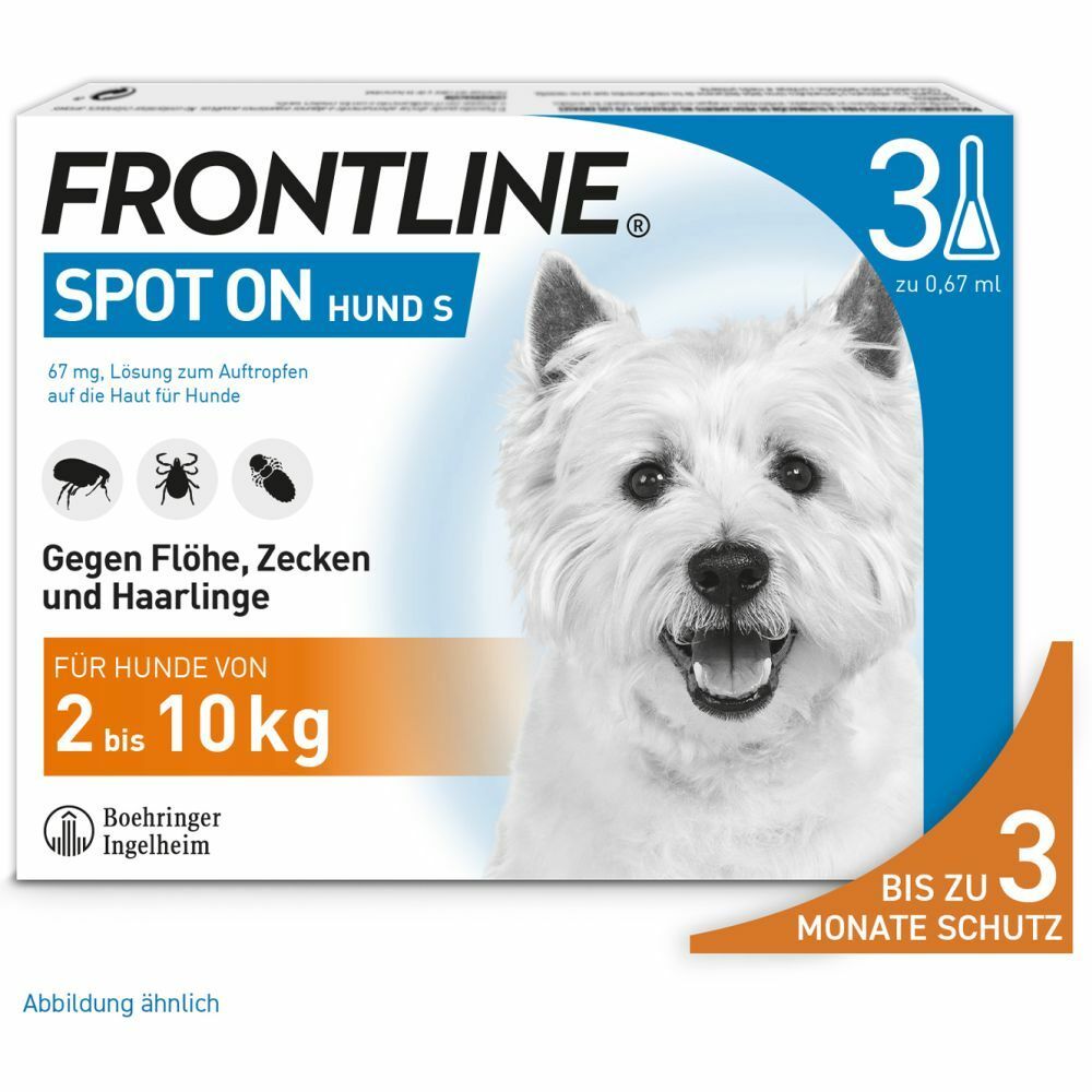 frontline spot h