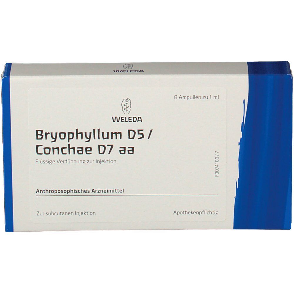 Bryophyllum D 5/Conchae 7 Ampullen 48x1 ml