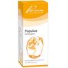 Populus Similiaplex 50 ml Tropfen