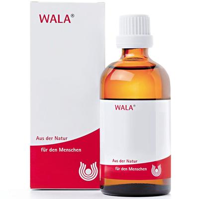 Oxalis E planta tota W 10% Öl 100 ml Image